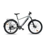 Legnano Extreme Citybike Elettrica 250W 36V 13Ah Ruote 27.5'' Grigio