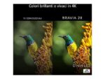 Sony K-50B20 TV LED 50" Smart TV Google TV 4K UHD Processore 4K X1 COD BRAVIA 2 II - immagine 3