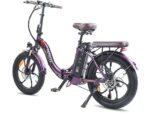 Fafrees F20 Pro Fat Bike Elettrica Pieghevole 250W 36V 20Ah Ruote 20'' Meccanica Viola - immagine 3