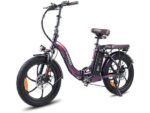 Fafrees F20 Pro Fat Bike Elettrica Pieghevole 250W 36V 20Ah Ruote 20'' Meccanica Viola