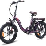 Fafrees F20 Pro Fat Bike Elettrica Pieghevole 250W 36V 20Ah Ruote 20'' Meccanica Viola