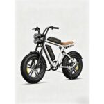 Engwe M20 Bicicletta Elettrica da Cross Doppia Batteria 48V Bianco