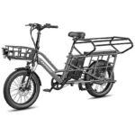 Fafrees FF20 CUV Fat Bike Elettrica Pieghevole 250W 1440Wh