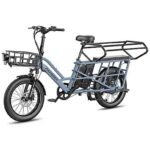 Fafrees FF20 CUV Fat Bike Elettrica Pieghevole Doppia Batteria 250W 1440Wh